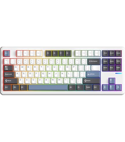 Progress Touch RETRO TKL テンキーレスキーボード 本体 ProgresTouch RETRO TKL（日本語配列）- ARCHISS - 株式会社アーキサイト